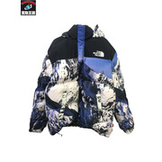 17AW Supreme X THE NORTH FACE Mountain Baltoro Jacket/L/シュプリーム/ノースフェイス/ダウンジャケット