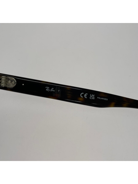 Ray-Ban ソノ他 RB4398F