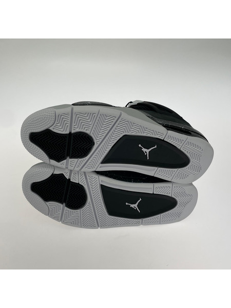 NIKE スニーカー Air Jordan4 Retro Fear (28.0)黒