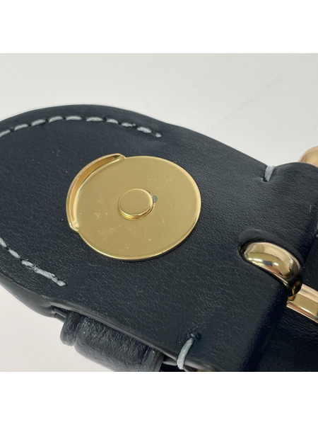 ショルダーバッグ COACH  ショルダーバッグ シグネチャー キャンバス
