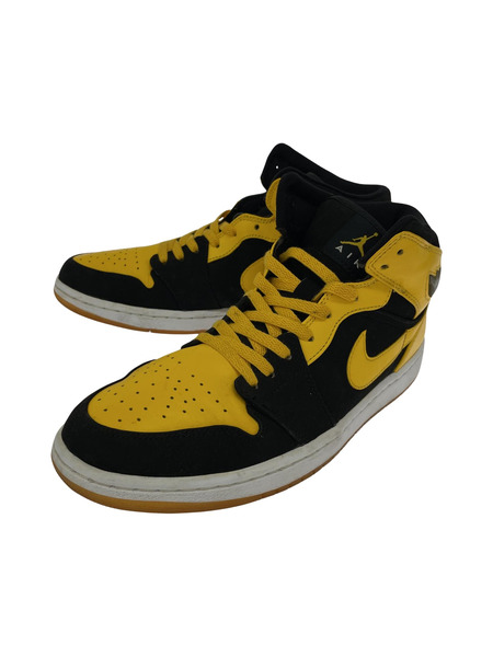 鑑賞用 NIKE AIR JORDAN 1 BPM OLD LOVE NEW LOVE 29 136085-072[値下]