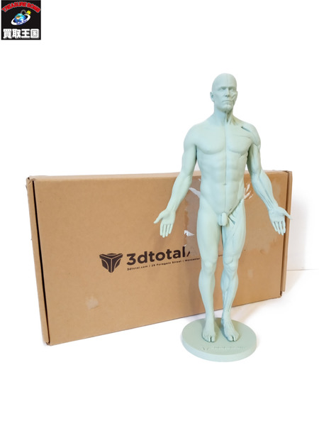 3DTotal Anatomy