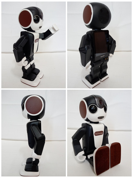 その他ガジェット SHARP/RoBoHon/SR-03M-T