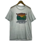 OLD・VINTAGE 半袖Tシャツ・カットソー 70s プリント 緑 (S)