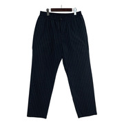 STUSSY パンツ ストライプ 緑（L）