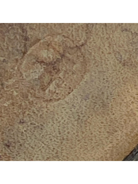 シューズ MA+サイドレース スウェード 41