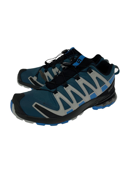 SALOMON XA PRO 3D v8 GTX トレイルランニング 27.5 416292 ブルー