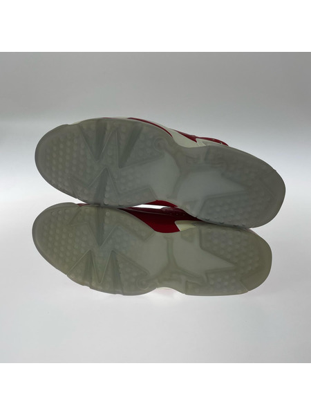 NIKE スニーカー ×SLAM DUNK 14年製 AIR JORDAN 6 RETRO