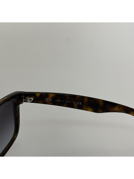 Ray-Ban サングラス/RB4165-F