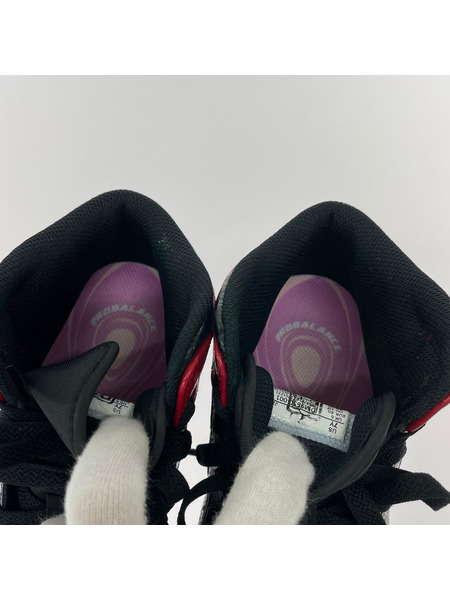 NIKE スニーカー AIR JORDAN 1 MID SS (YOUTH/25cm) DM9650-001