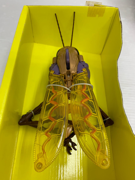 ビーストウォーズ　　トランスキート トランスフォーマー(海外版)