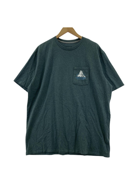 patagonia S/Sカットソー グリーン (L)