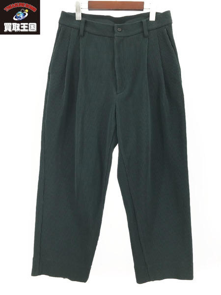 stein GRADATION PLEATS TWO TUCK TROUSERS S[値下]