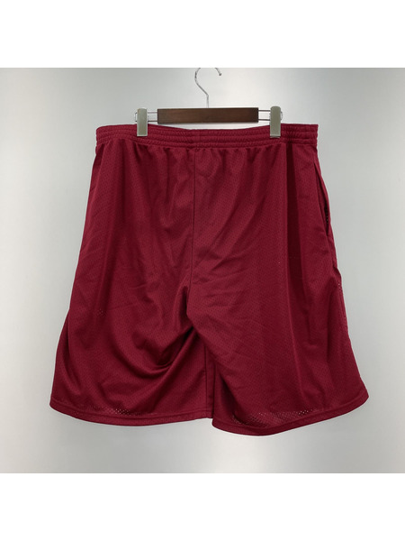 SAPeur Light Mesh Gym Shorts