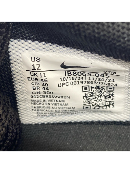 NIKE スニーカー Air Max DN Off Noir (30.0) IB8065-045