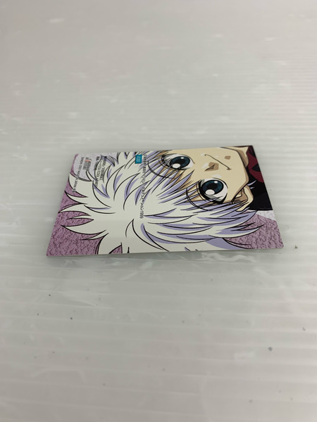 H×H カードダスマスターズ 133 集合