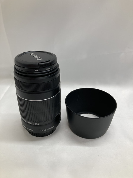 canon EFS55-250mm