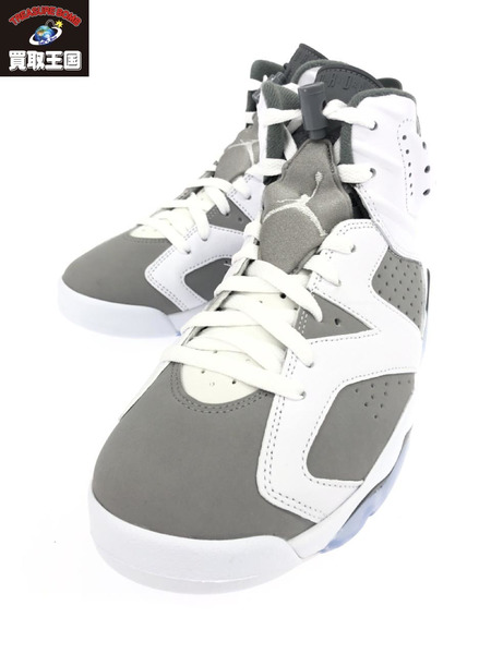 NIKE AIR JORDAN 6 RETRO COOL GREY 26.5cm CT8529-100｜商品番号