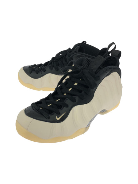 NIKE/AIR FOAMPOSITE ONE/28.0cm/FD5855-002