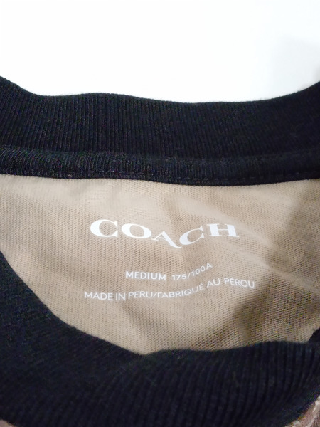 COACH シグネチャー Tシャツ 