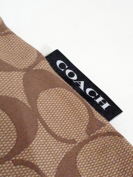 COACH シグネチャー Tシャツ 