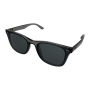 Ray-Ban RB4391D サングラス