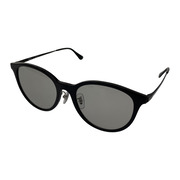 Ray-Ban RB4334D サングラス 黒