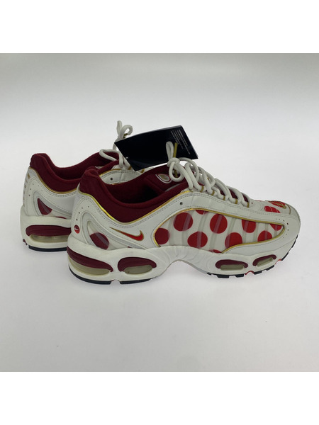 NIKE/AIR MAX TAILWIND 4/29.0cm/CW4810-167[値下]