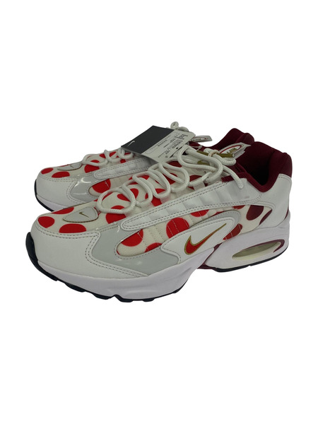 NIKE/AIR MAX TRIAX/29.0cm/CW4809-167