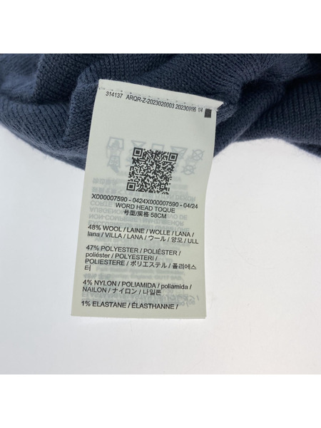 ARC'TERYX WORD HEAD TOQUE