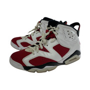 NIKE/Air Jordan 6 Carmine 2021