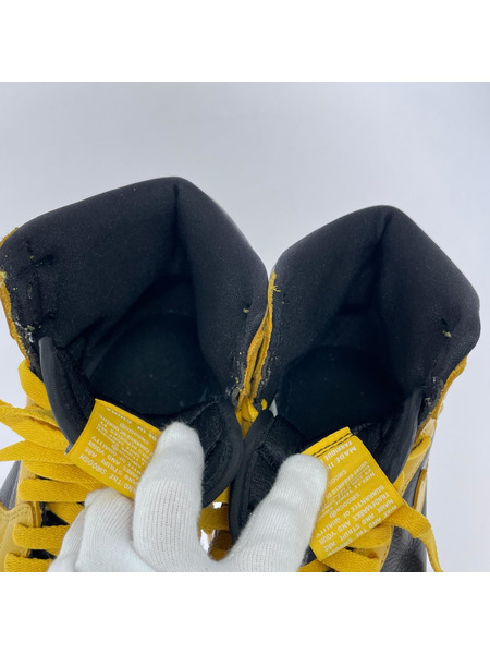 NIKE スニーカー Air Jordan 1 High OG Pollen