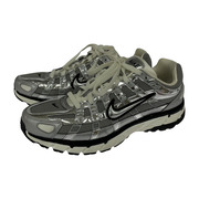 NIKE スニーカー P-6000 METALLIC SILVER 29.0