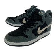 NIKE スニーカー DQ3757 300 DUNK HIGH PRO 29.0cm