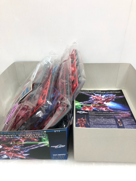 HG 1/144 ゲルググメナース ルナマリア・ホーク専用機