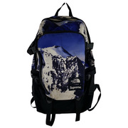 Supreme  17aw THE NORTH FACE MOUNTAIN BACKPACK