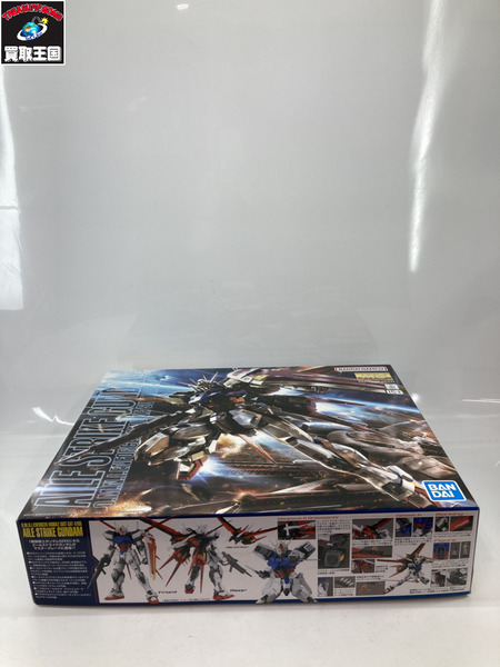ガンプラ MG 1/100 エールストライク Ver.RM　機動戦士ガンダムシード