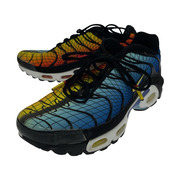 NIKE AIR MAX PLUS TN SEGREEDY 28cm