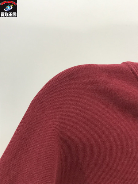 Wasted Youth/Haagen-Dazs/CASSIC Hoodie/RED/S/ウェイステッドユース/パーカー