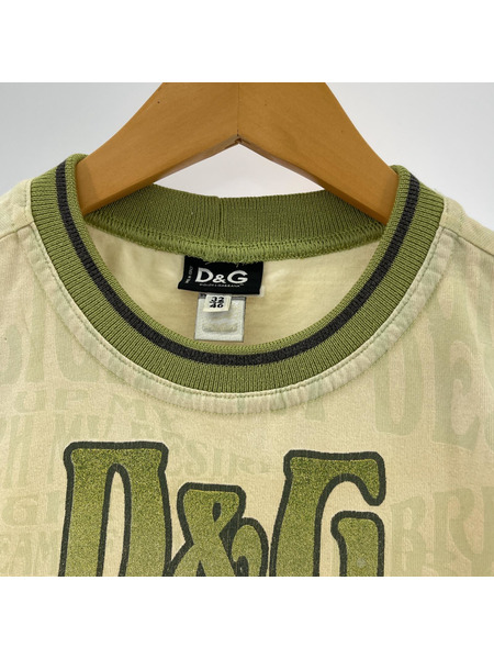 D&G 半袖Tシャツ・カットソー QUENCH MY DESIRE/GRN/32