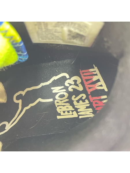 NIKE スニーカー LEBRON17 JAMES GANG 28.0㎝