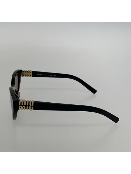 MiuMiu Regard Sunglasses