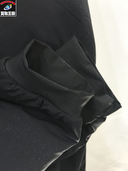 ARC'TERYX/PROTON HOODY/M/アークテリクス/黒