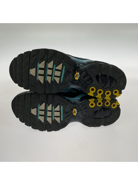 NIKE スニーカー AIR MAX PLUS 27.5㎝