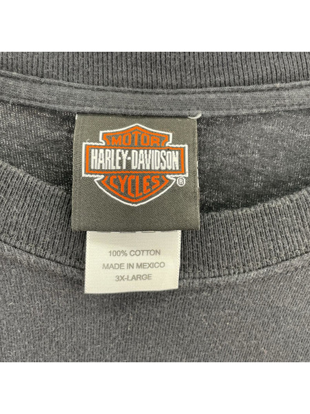 Harley-Davidson Flame L/S T-SHIRT 3XL[値下]