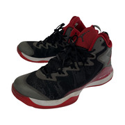 NIKEｘSLUM DUNK JORDAN SUPER.FLY3 X 28cm