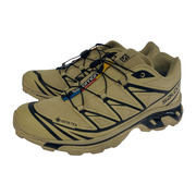 SALOMON/XT-6 GTX/ 474455/BEG/28.0cm