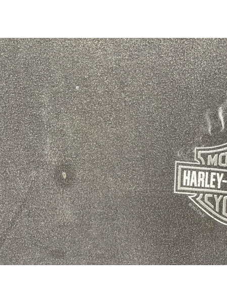 Harley-Davidson 長袖Tシャツ・カットソー 袖プリント ファイアパターン