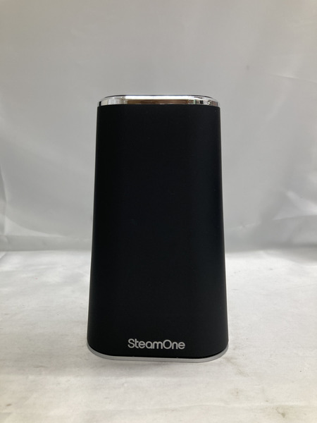 steam one ハンディスチーマー