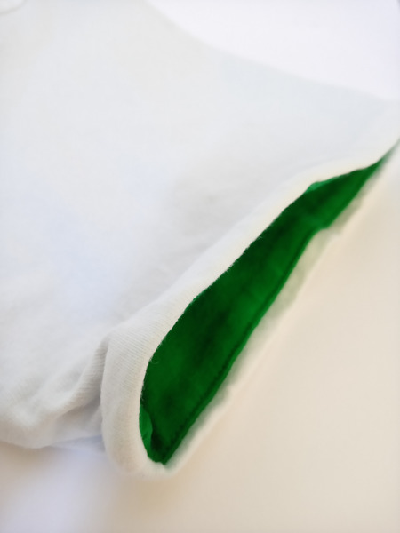 メンズラグ衣料BOTTEGA VENETA 2トーン クルーネックTシャツ 白×緑